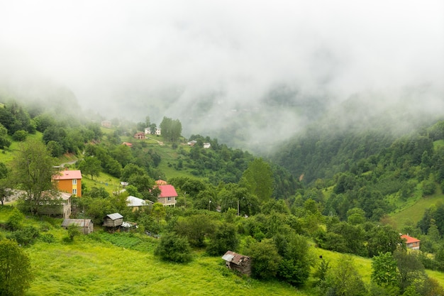 Foggy Plateau Highland with Giresun - Turkey