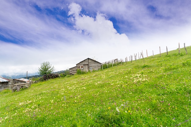 Foggy Plateau Highland with Giresun - Turkey