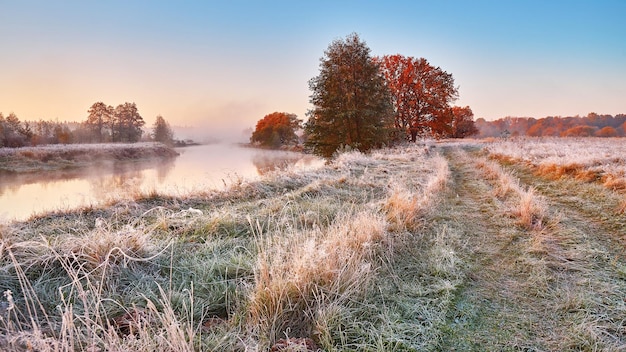 Alba sul fiume e sul prato nebbiosi erba ricoperta di gelo bianco sulla riva del fiume al mattino presto