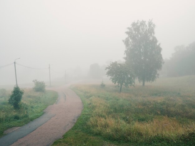 Foggy summer village road. Soft focus