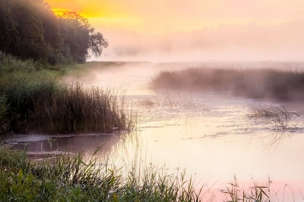 Foggy sunrise over the river, golden hour sky.