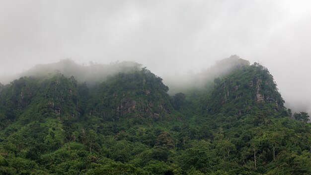 Foggy on top of the hills at morning landscape. Heavy fog.