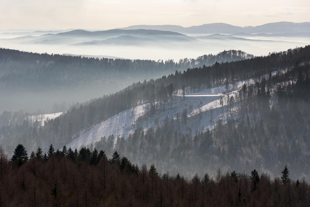 Photo foggy view of beskid sadecki mountain range in poland