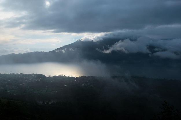 山頂の森の霧深い天気