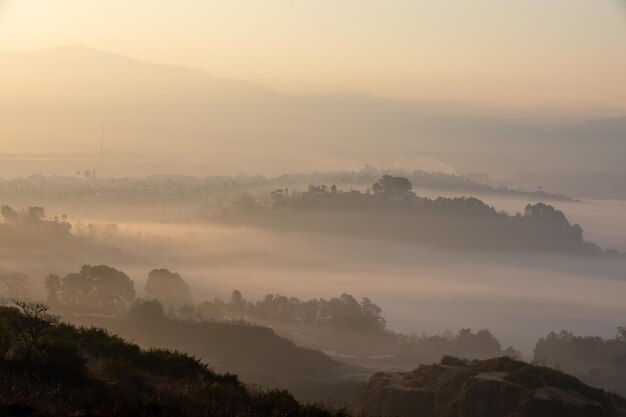 Foggy Winter Morning