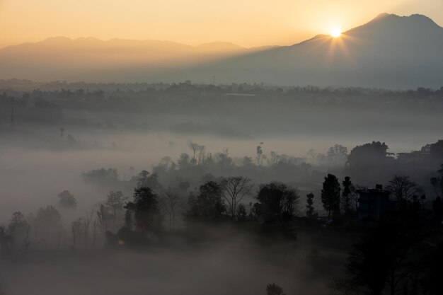 Foggy Winter Morning