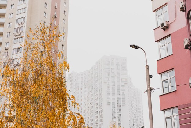 Fogy residential buildings at autumn. Fall. Weather. Pole. Lantern. Tree. Autumn leaves. Cold. Flat