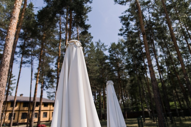 A folded umbrella near the pool in the forest