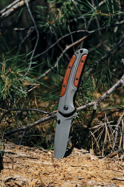 Photo folding survival knife with wooden inserts in handle is stuck rotten fallen tree in forest