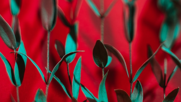 Foliage pattern design. Bright green stems on red Selective focus effect