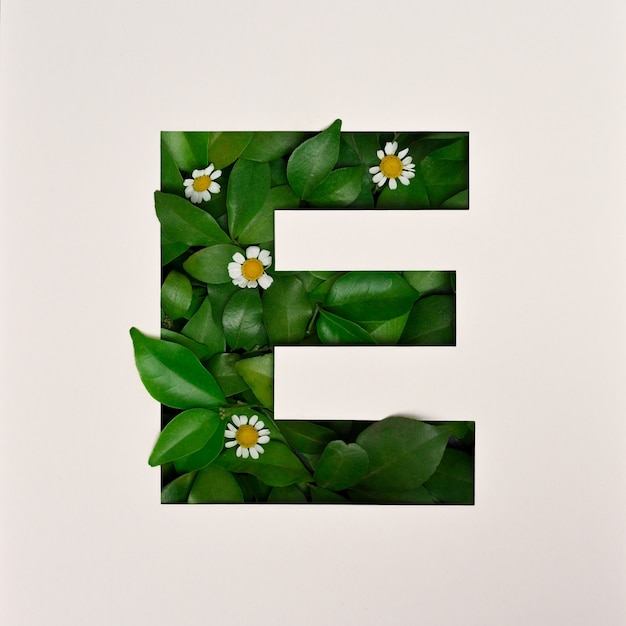 Font design, Abstract alphabet font with leaves and flower, realistic leaves typography - E