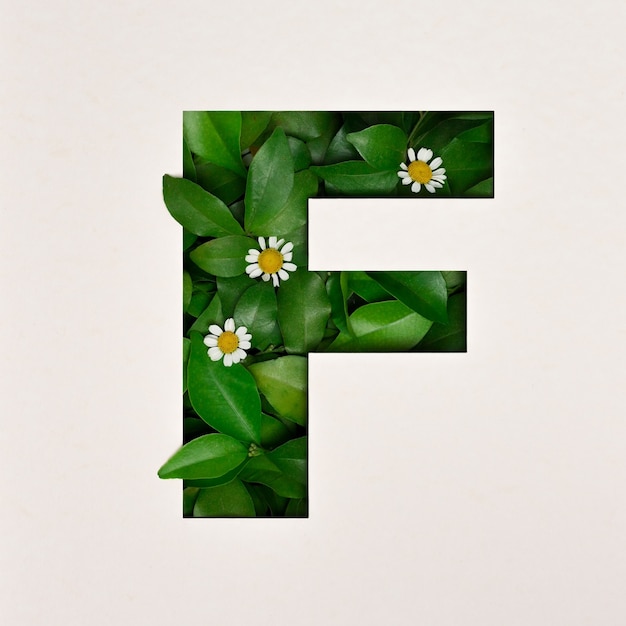 Font design, Abstract alphabet font with leaves and flower, realistic leaves typography - F