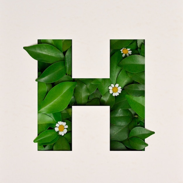 Font design, carattere alfabeto astratto con foglie e fiori, tipografia foglie realistiche - h.