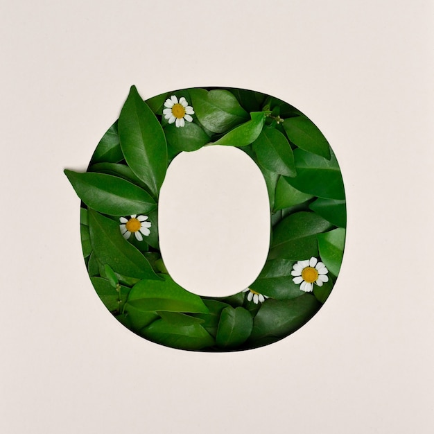 フォントデザイン、葉と花の抽象的なアルファベットフォント、リアルな葉のタイポグラフィ-O