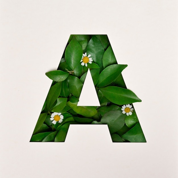 Photo font design, abstract alphabet font with leaves and flower, realistic leaves typography - a