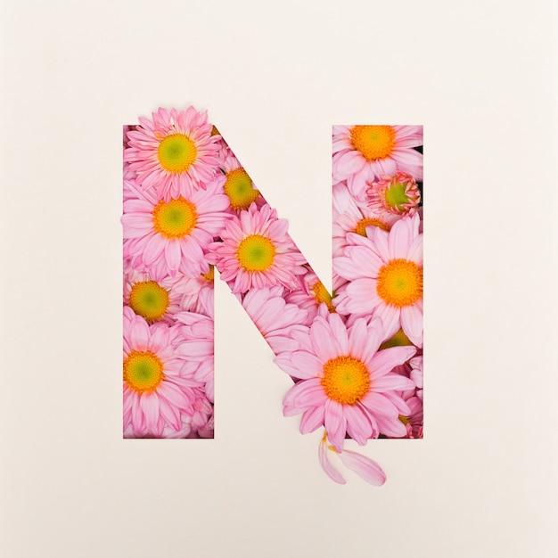 Font design, Abstract alphabet font with pink flower, realistic flower typography - N