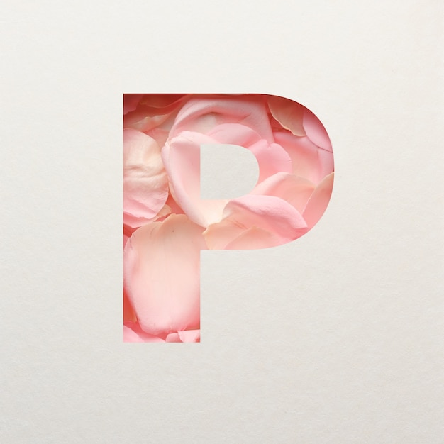 Photo font design, abstract alphabet font with pink rose petals, realistic flower typography - p