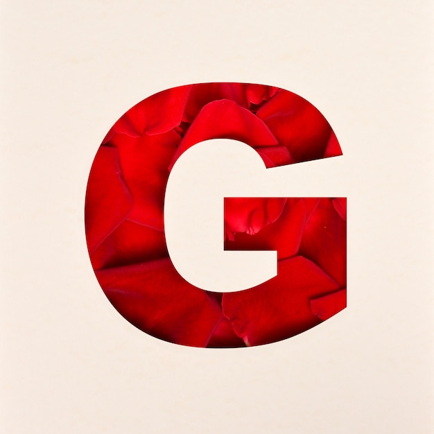 Font design, Abstract alphabet font with Rose petals, realistic flower typography - G