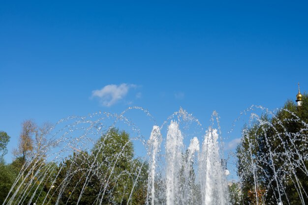 Fontein in de Park Macro