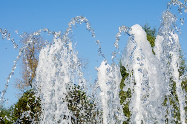 Fontein in de Park Macro