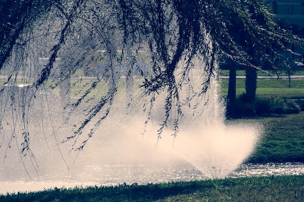 Fontein in het park