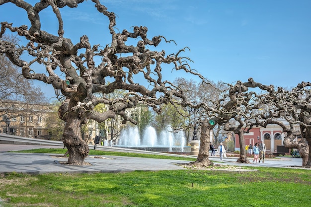 Fontein op het Theaterplein in Odessa, Oekraïne