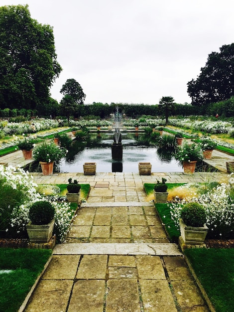 Foto fontein te midden van planten in de tuin