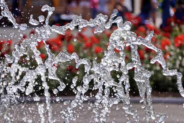 Fonteinclose-up van waterdruppeltjesbloemen op background