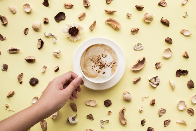 Cibo, aroma, vista dall'alto di vaniglia con tazza di caffè isolata