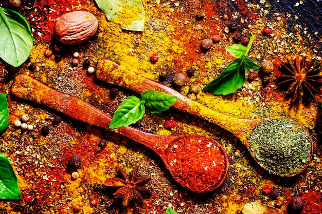 Food background spices dried herbs anise nutmeg and fresh green basil top view