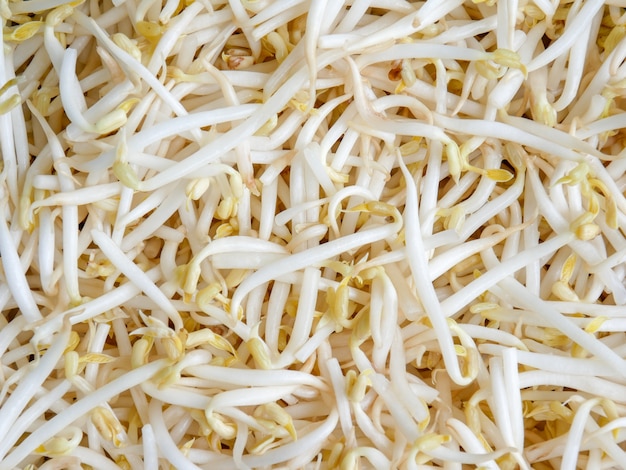 Продовольственная фоновая текстура mung bean sprout