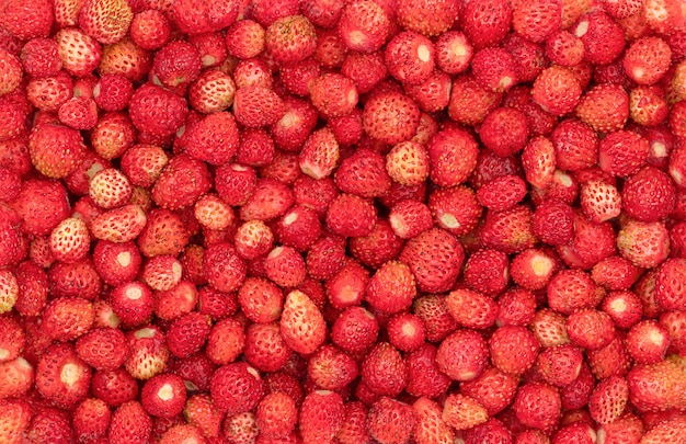 Food background of wild strawberries