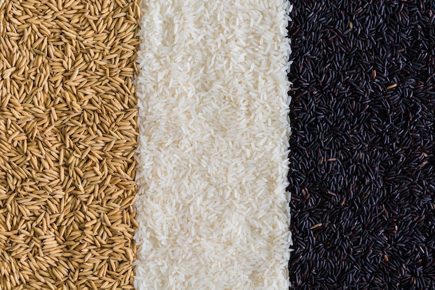 Food background with three rows of rice varieties : brown rice, black rice, white (jasmine) rice