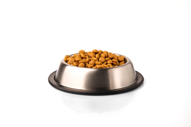 Food for cats and dogs in a bowl isolate on a white background.