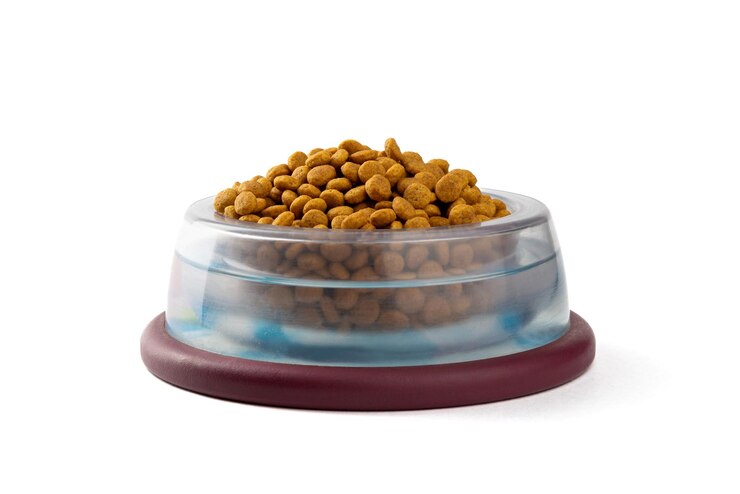 Food for cats and dogs in a bowl on a white background