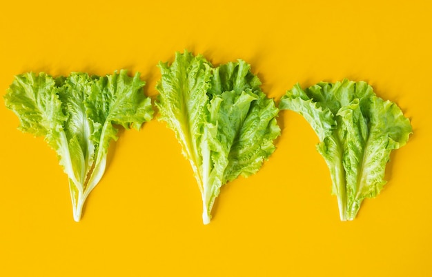 Концепция питания Свежие зеленые листья салата на ярко-желтом фоне плоский вид сверху