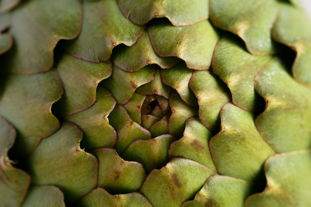 Foto concetto di crisi alimentare ancora in vita