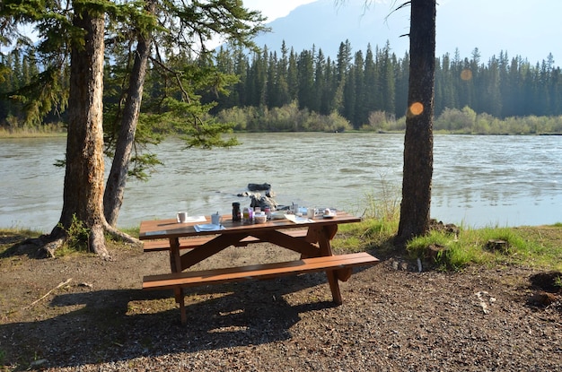 森の湖の向こうのベンチで食べ物と飲み物