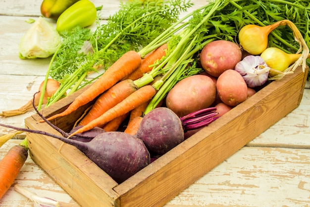 Food frame, market fresh food.