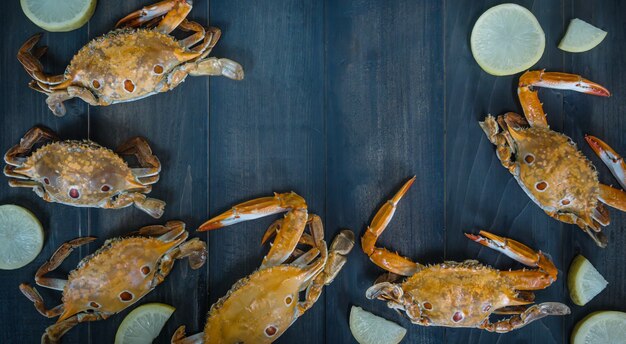 Food frame with crustacean 