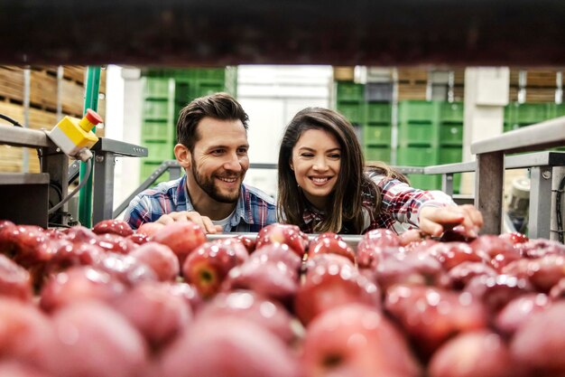 The food industry inspectors checking on apples quality