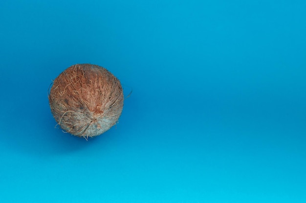사진 음식, 미니멀리즘, 색상, 정물 및 자연 개념 - 파란색 배경에 격리된 코코넛. 클리핑 패스