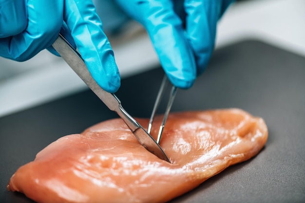 Foto carne di pollo per il controllo della qualità degli alimenti