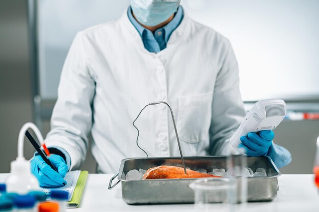 Food Safety Inspector Measuring Concentrations of Lead Mercury and Cadmium in Sea Fish