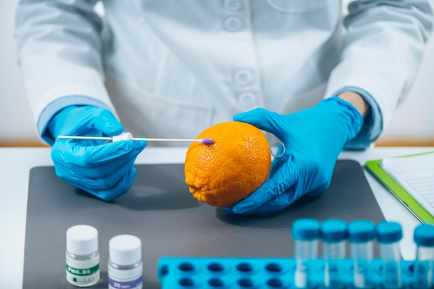 Food Safety Laboratory Technician Examining Orange Citrus Fruit for Presence of Pesticides