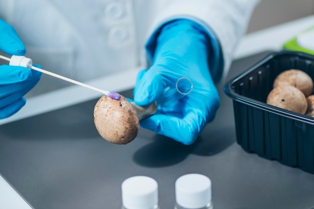 実験室でのキノコの食品安全性農薬分析
