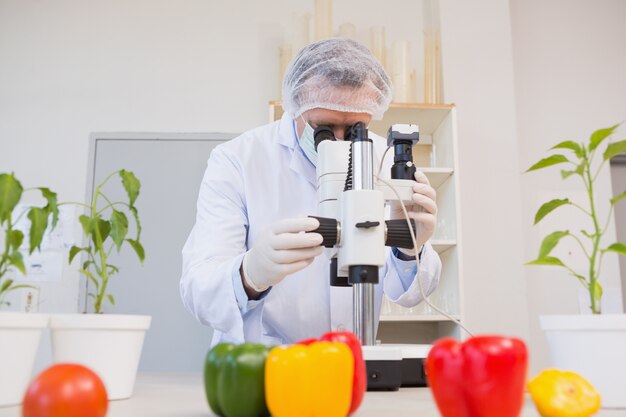 Food scientist looking through a microscope