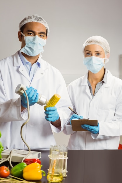 Food scientist using device on corn cob