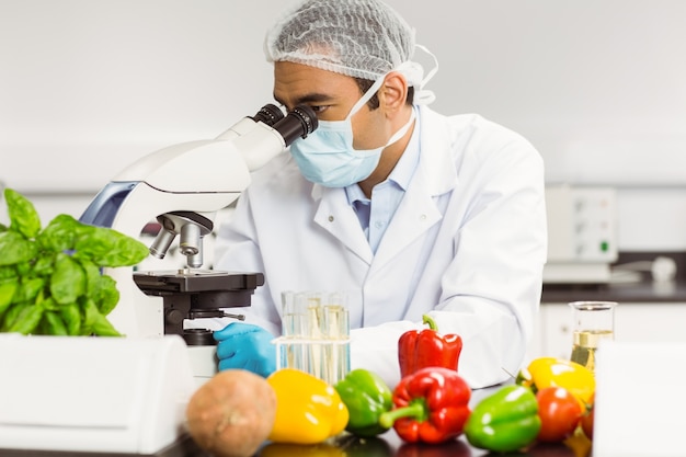 Photo food scientist using the microscope