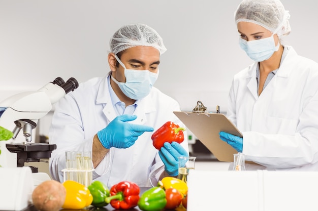 Photo food scientists examining a pepper